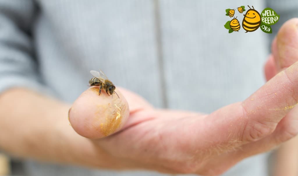 bij op hand